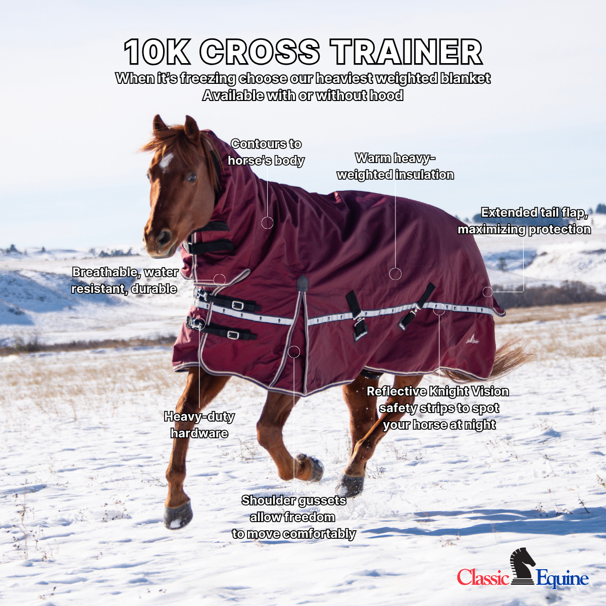 Classic Equine 10K Cross Trainer Turnout Blanket w/ Attached Hood- Aloha Blue