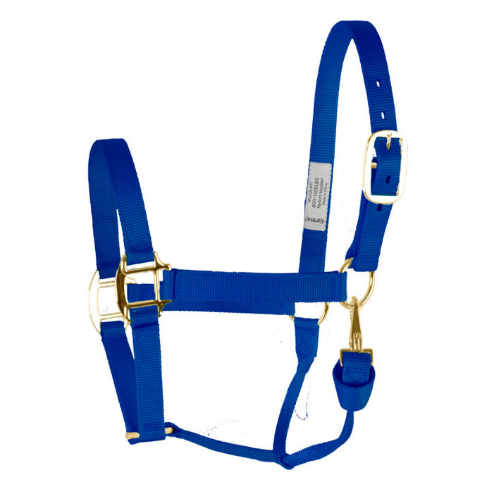 Coolhorse Nylon Buckle Halter-Blue
