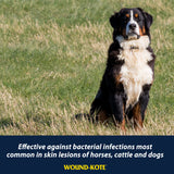 Farnam Wound-Kote Blue Lotion Spray Wound Dressing- 5oz.