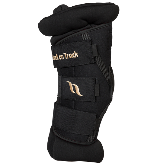 Back on Track Royal Deluxe Padded Hock Boots- Black