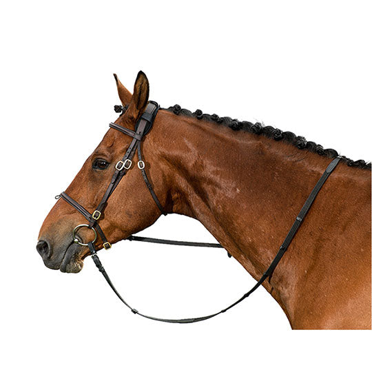 Back On Track Horse Poll Cover