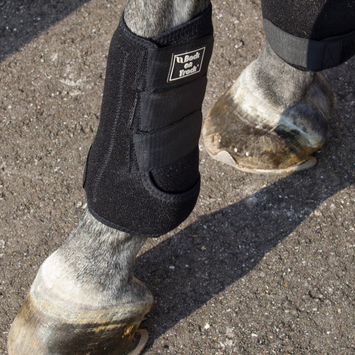Back on Track Supreme Exercise Boots w/ Shock Absorbent Pad- Black