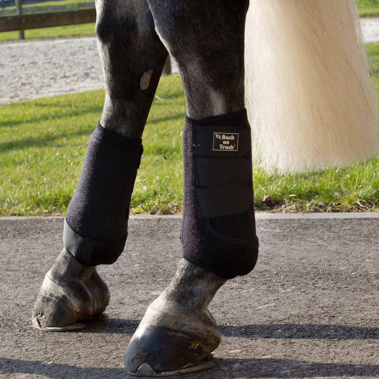 Back on Track Supreme Exercise Boots w/ Shock Absorbent Pad- Black