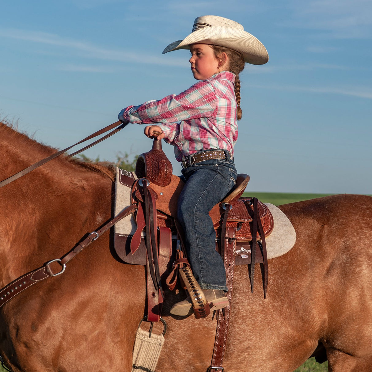 Classic Equine FACTORY SECOND Kid's Saddle Pad