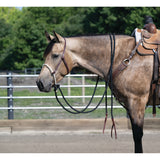 Weaver Leather Loping Hackamore with Split Reins