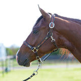 Professional's Choice Heritage Braided Rawhide Leather Halter