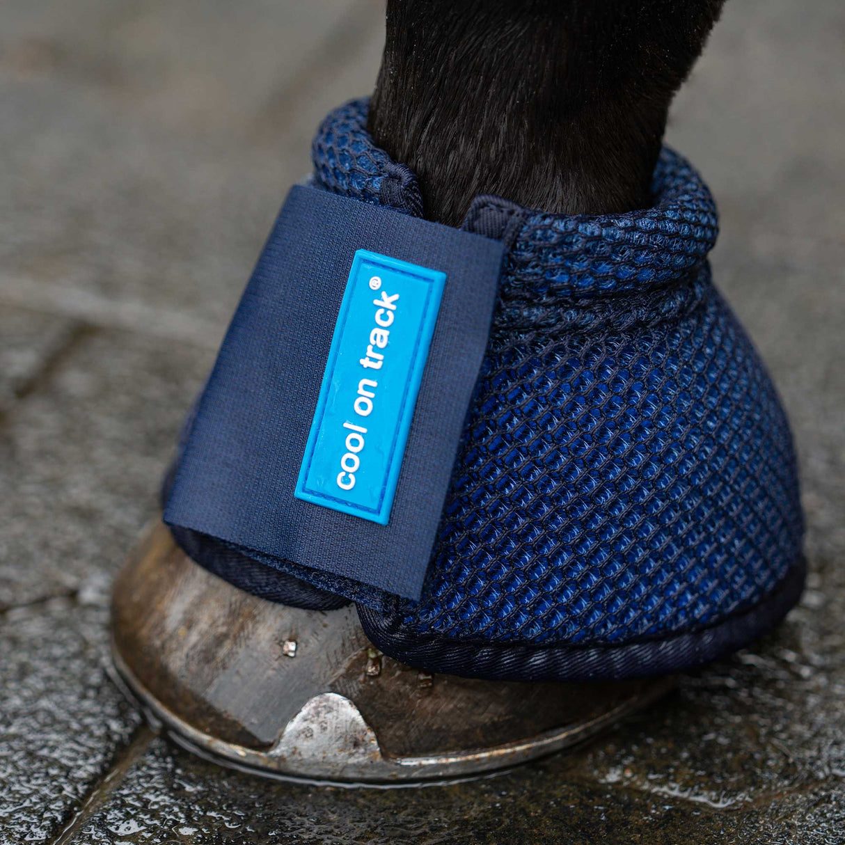 Back on Track Cool on Track Bell Boots