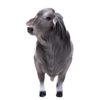 Little Buster Toys Brahman Bull