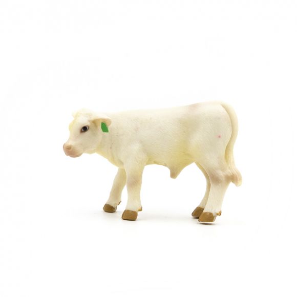 Little Buster Charolais Calf