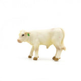 Little Buster Charolais Calf
