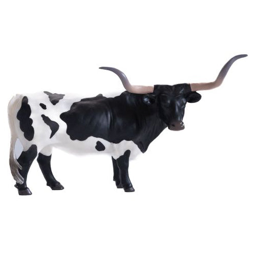 Little Buster Black and White Texas Longhorn Steer