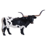 Little Buster Black and White Texas Longhorn Steer