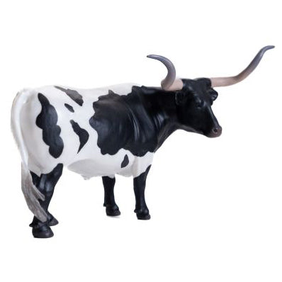 Little Buster Black and White Texas Longhorn Steer