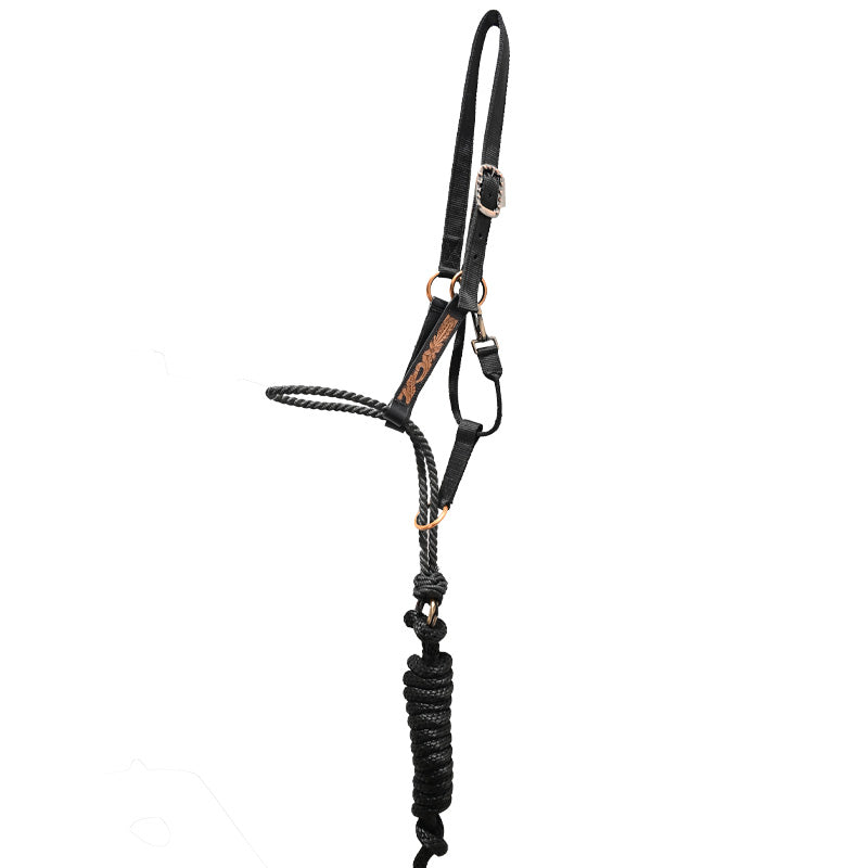 Schulz Equine Tooled Lariat Nose Halter
