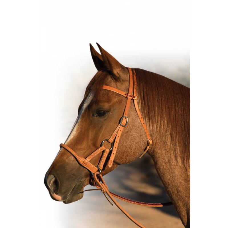 Professional's Choice Round Leather Nose Side Pull