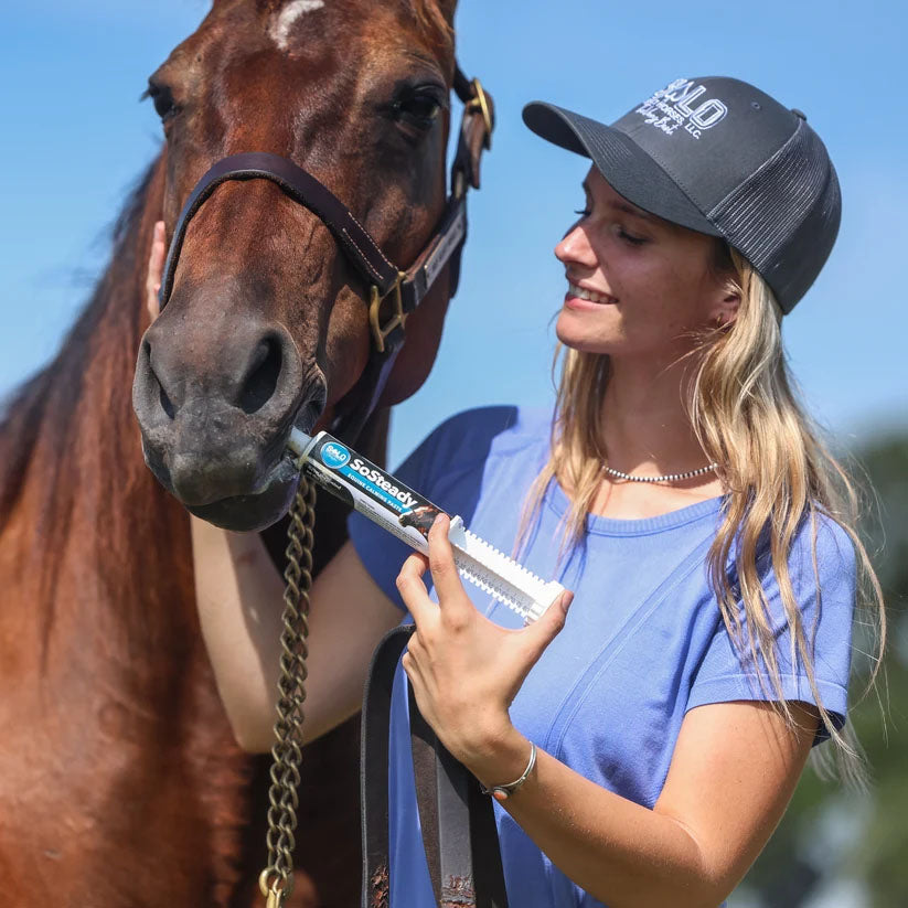 Solo Select SoSteady Equine Calming Paste