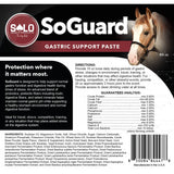 Solo Select SoGuard Gastric Support Paste