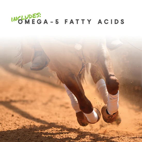 Manna Pro Cetyl M Equine Pellets- 5.1lb