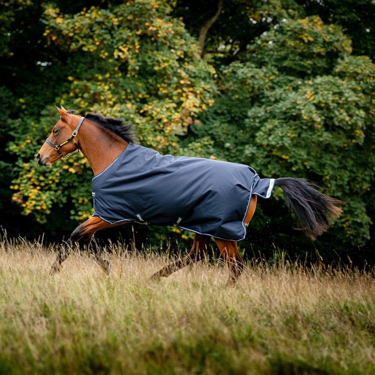 Horseware Amigo Bravo 12 Medium Weight Original Turnout Blanket- Navy/Blue