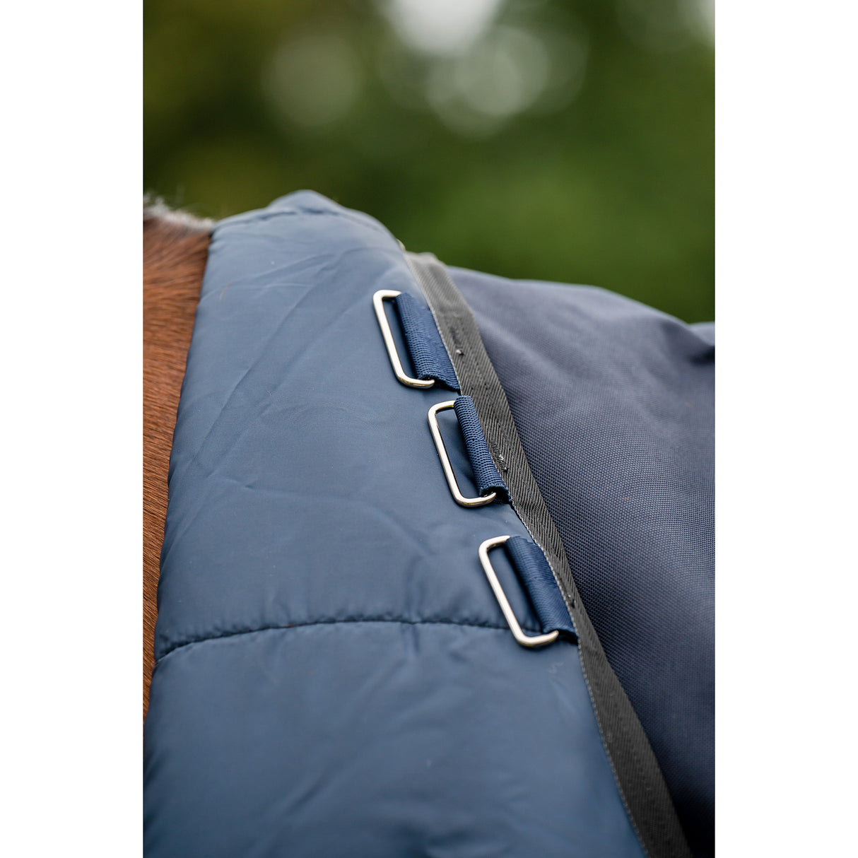 Horseware Amigo Bravo 12 Medium Weight Original Turnout Blanket- Navy/Blue