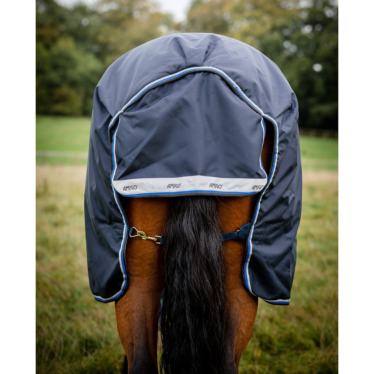 Horseware Amigo Bravo 12 Medium Weight Original Turnout Blanket- Navy/Blue