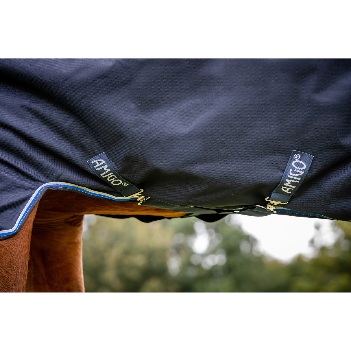 Horseware Amigo Bravo 12 Medium Weight Original Turnout Blanket- Navy/Blue