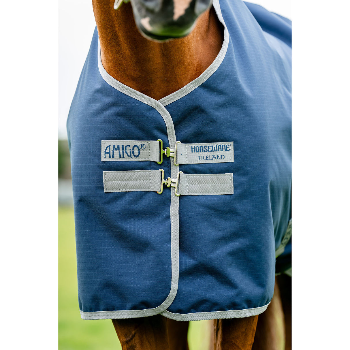 Horseware Amigo Hero Ripstop Plus Mediumweight Turnout Blanket- Navy/Silver