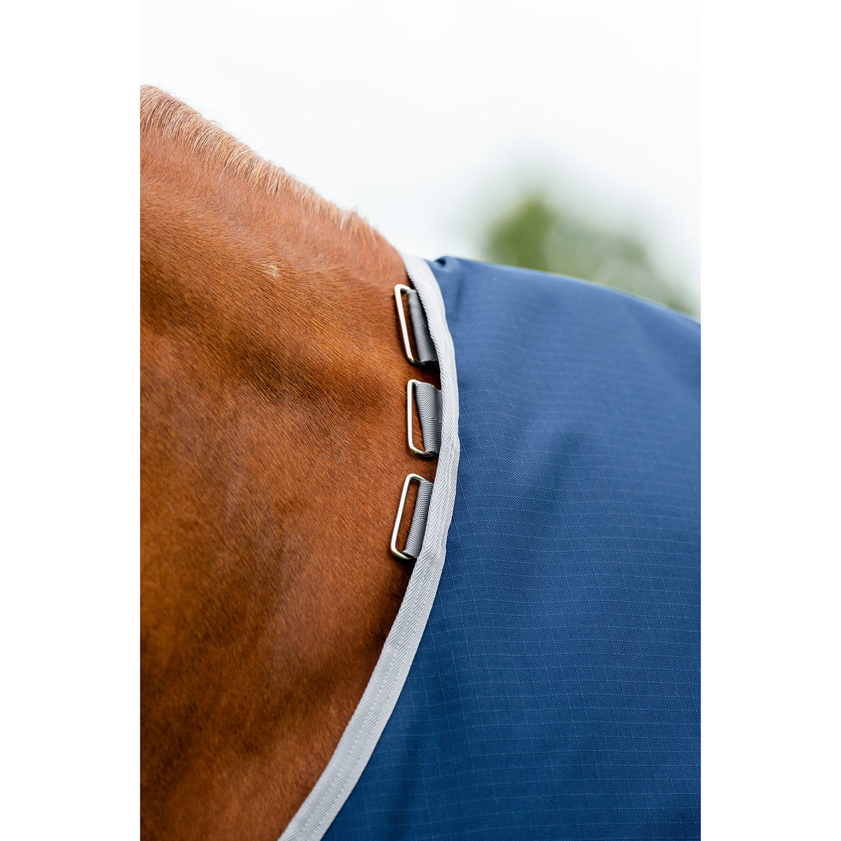 Horseware Amigo Hero Ripstop Plus Mediumweight Turnout Blanket- Navy/Silver