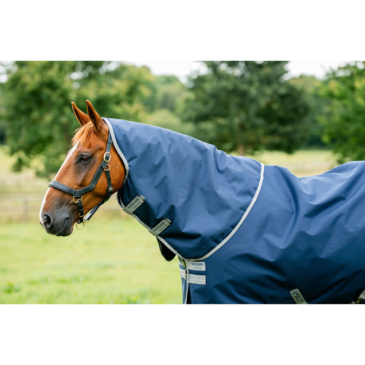 Horseware Amigo Hero Ripstop Plus Mediumweight Turnout Blanket- Navy/Silver