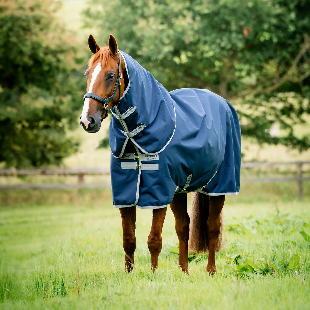 Horseware Amigo Hero Ripstop Plus Mediumweight Turnout Blanket- Navy/Silver
