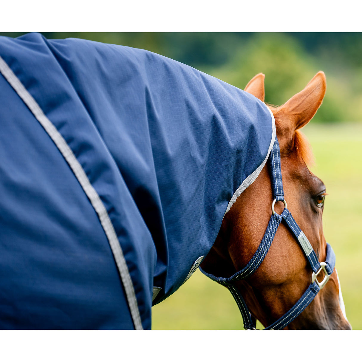 Horseware Amigo Hero Ripstop Plus Mediumweight Turnout Blanket- Navy/Silver