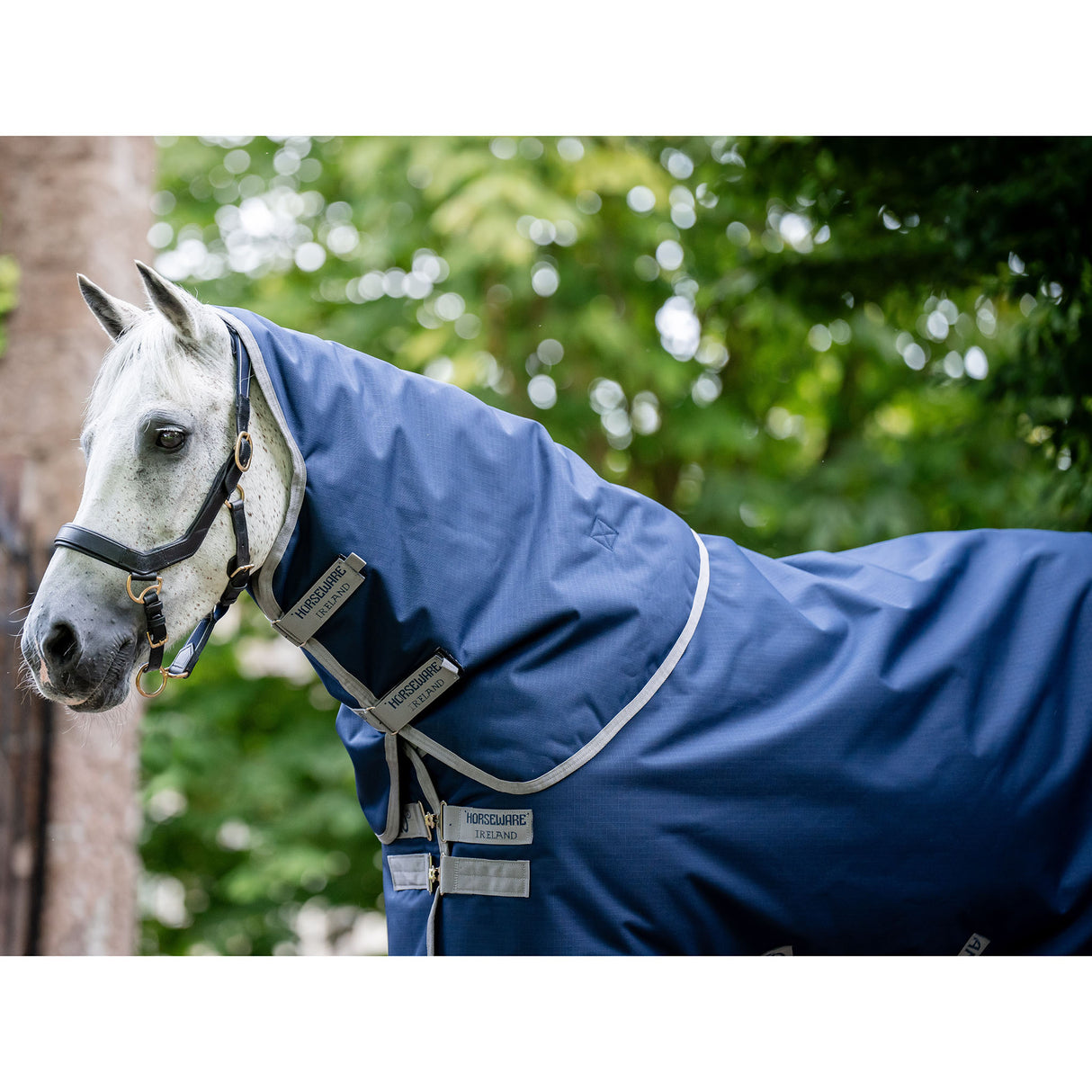 Horseware Amigo Hero Ripstop Plus Mediumweight Turnout Blanket- Navy/Silver