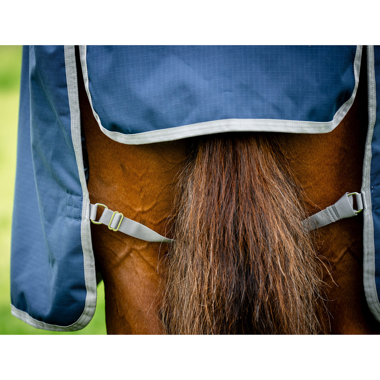 Horseware Amigo Hero Ripstop Plus Mediumweight Turnout Blanket- Navy/Silver