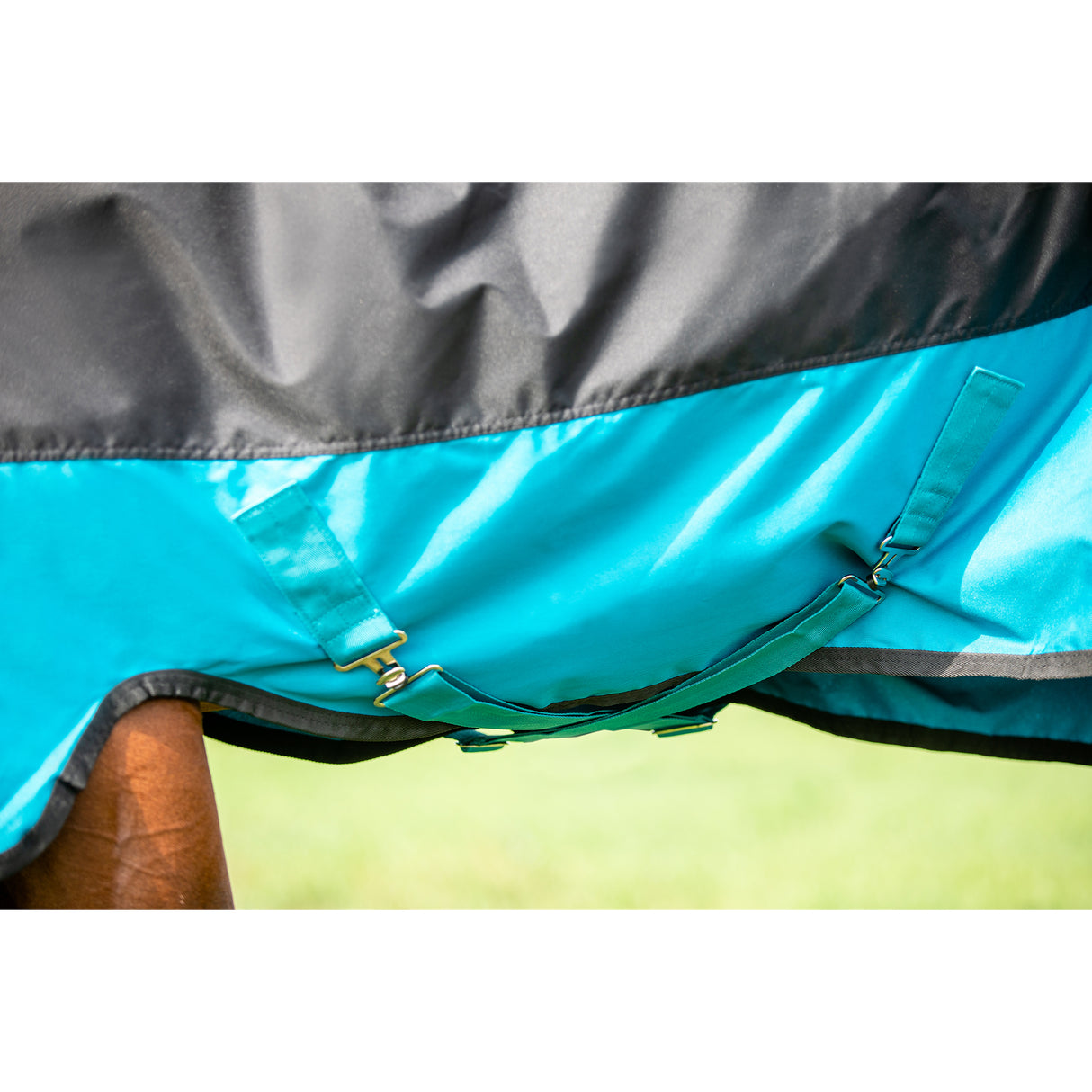 Horseware Mio Medium Weight Turnout Blanket- Black/Turquoise