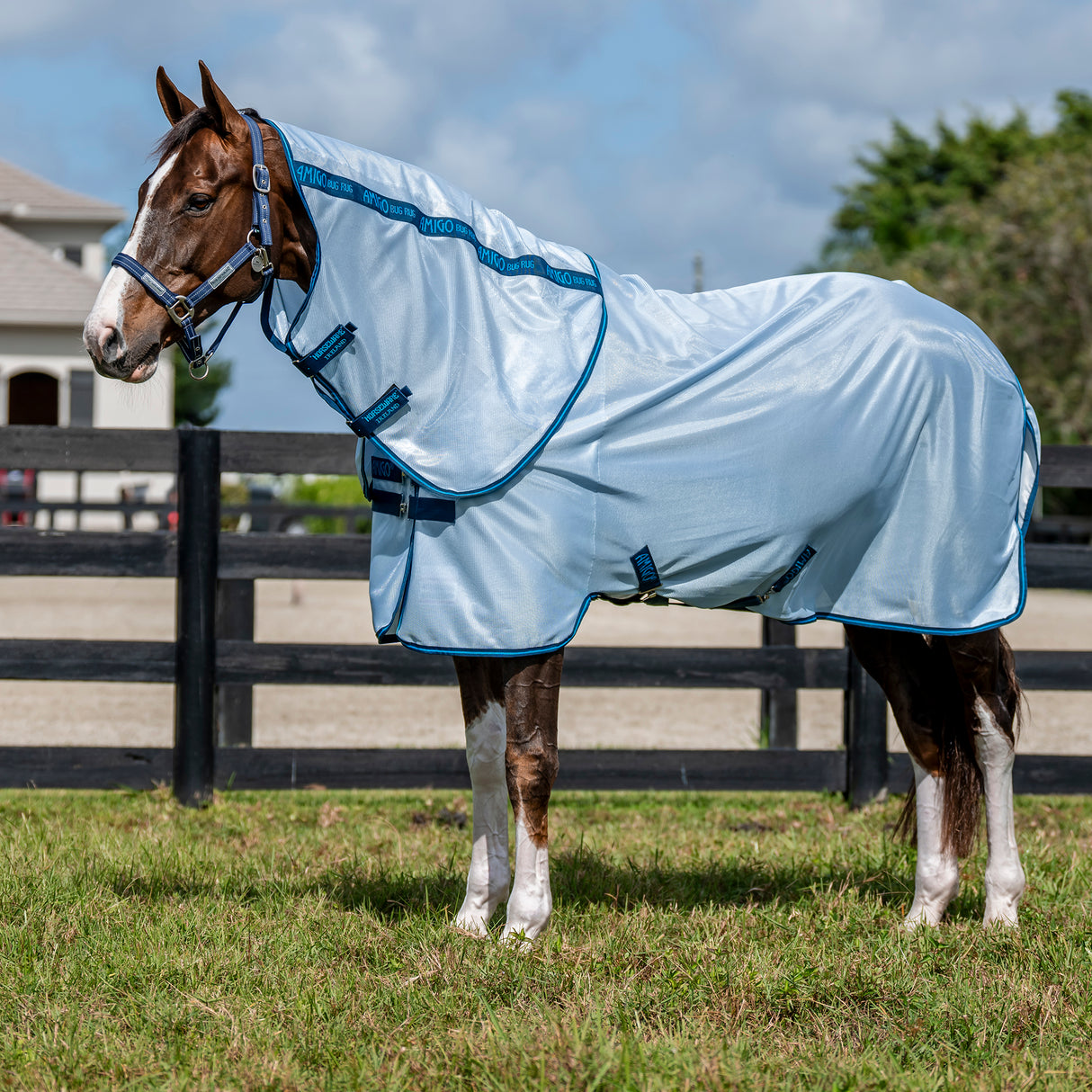 Horseware Amigo Bug Rug Plus Fly Sheet- Azure Blue/Navy & Electric Blue