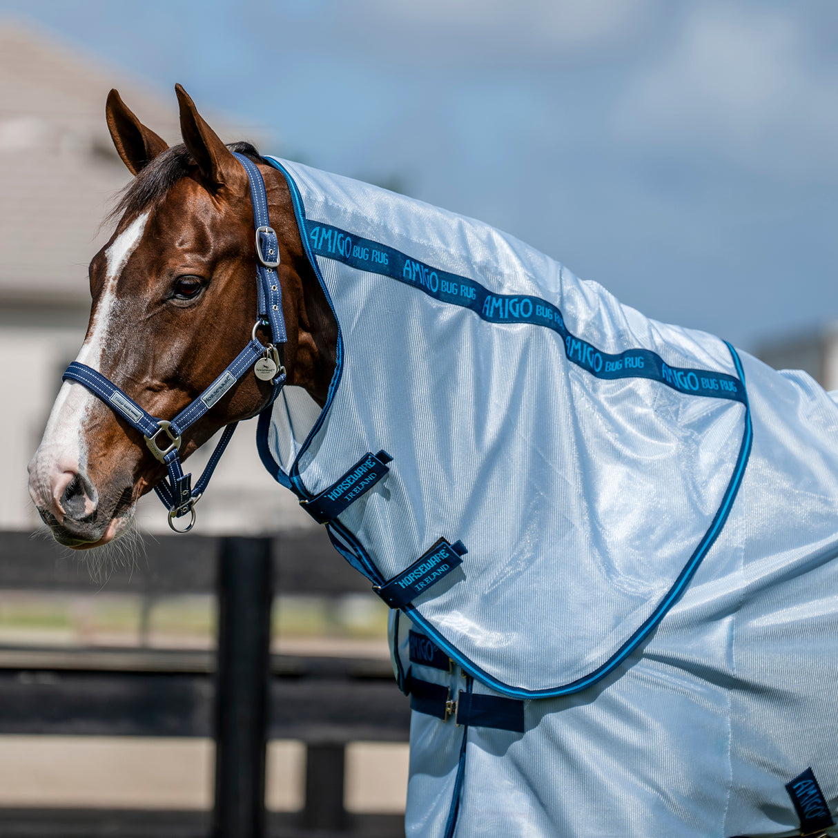 Horseware Amigo Bug Rug Plus Fly Sheet- Azure Blue/Navy & Electric Blue