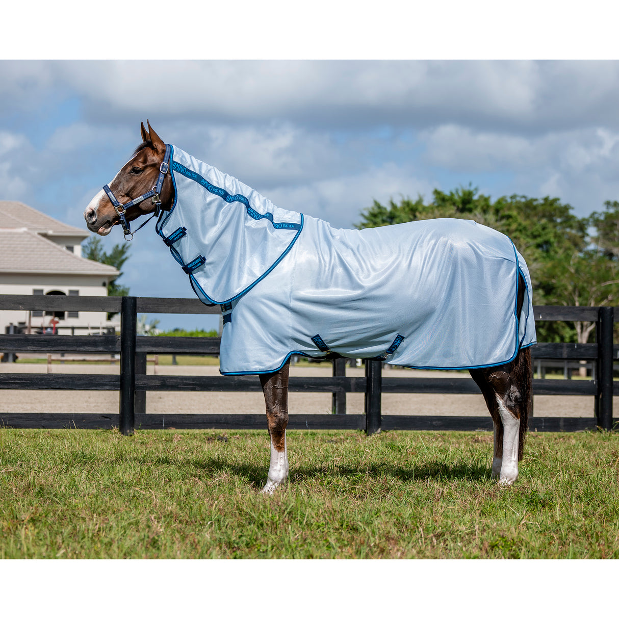 Horseware Amigo Bug Rug Plus Fly Sheet- Azure Blue/Navy & Electric Blue