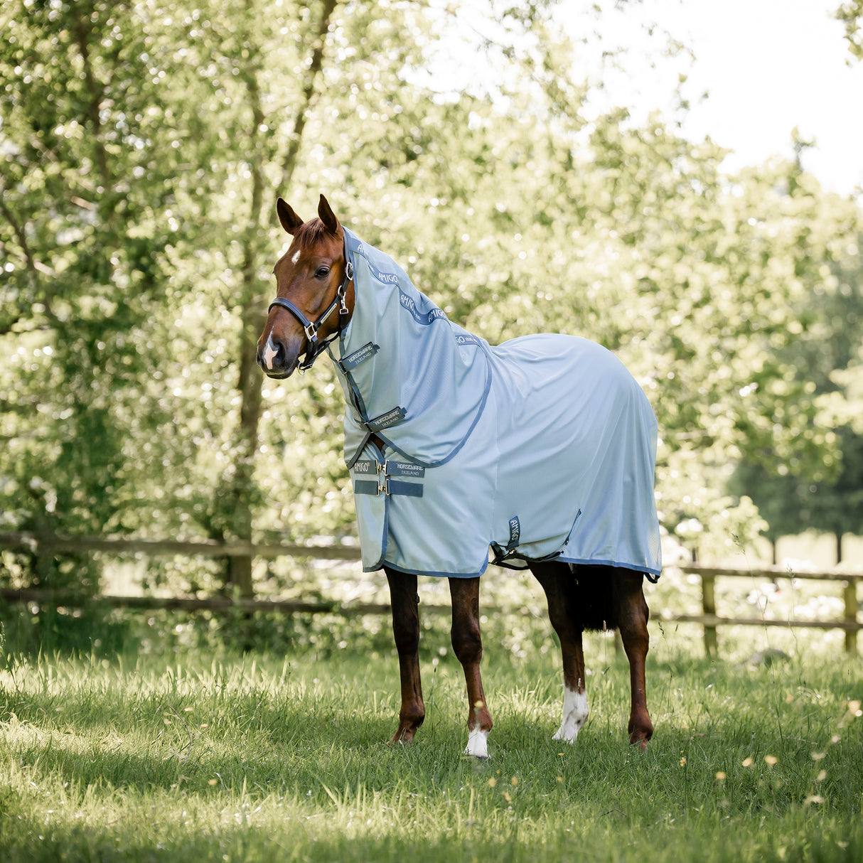 Horseware Amigo Bug Rug Plus Fly Sheet- Heather Blue/Blue/Silver
