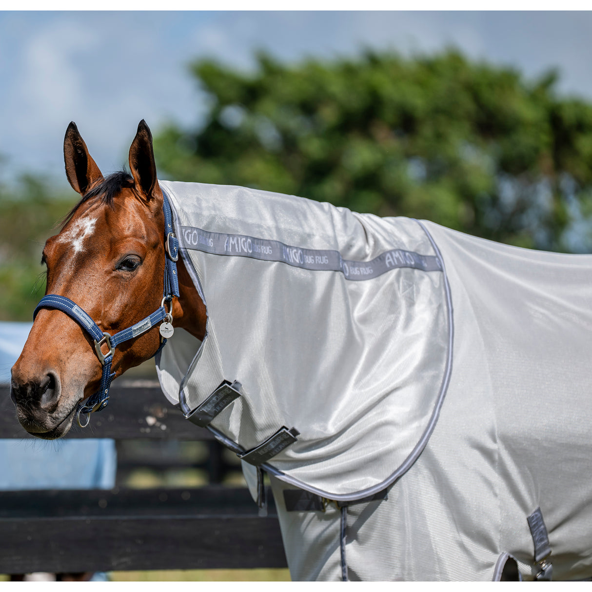Horseware Amigo Bug Rug Plus Fly Sheet- Silver/Titanium Grey/Silver