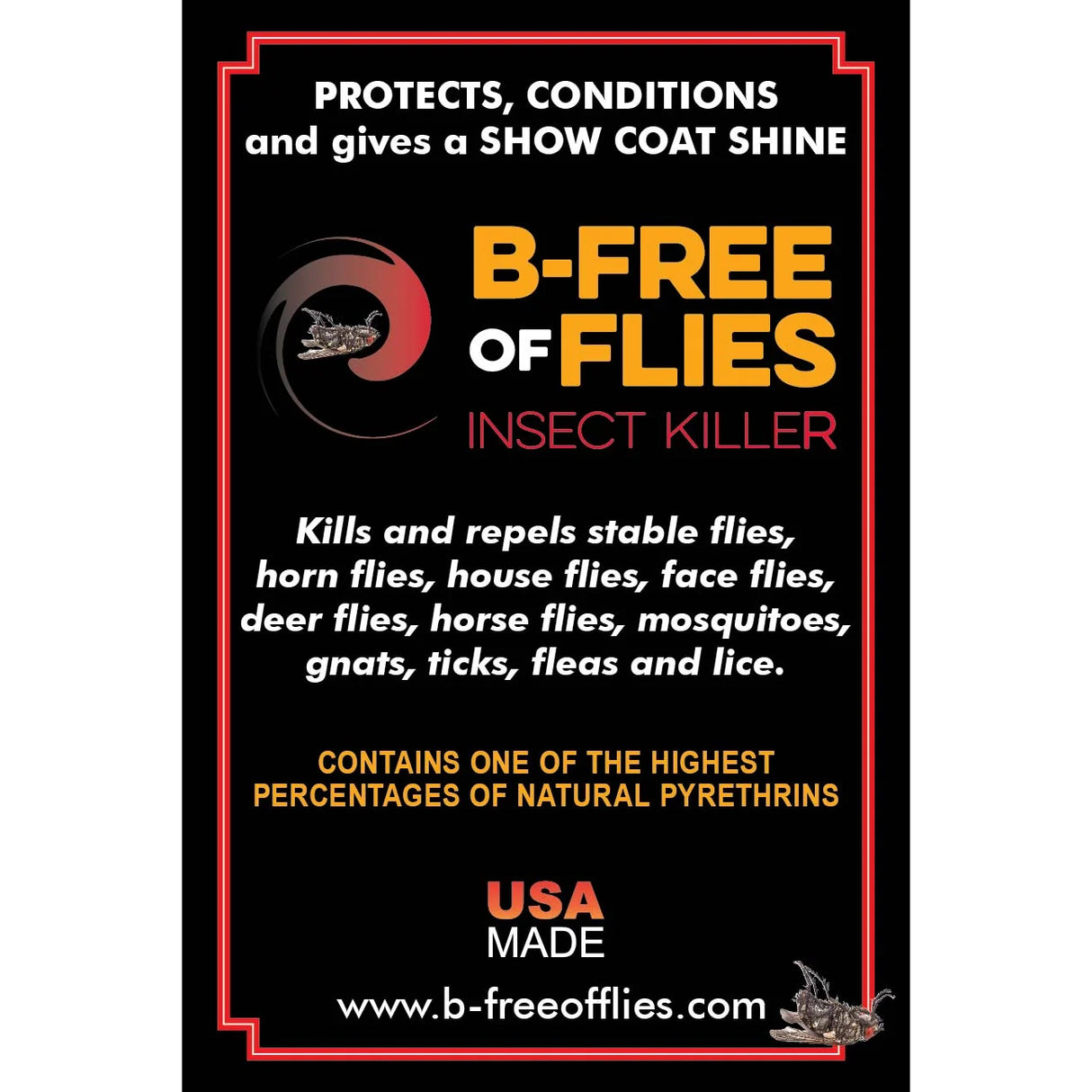 B-Free of Flies Fly Spray- Gallon