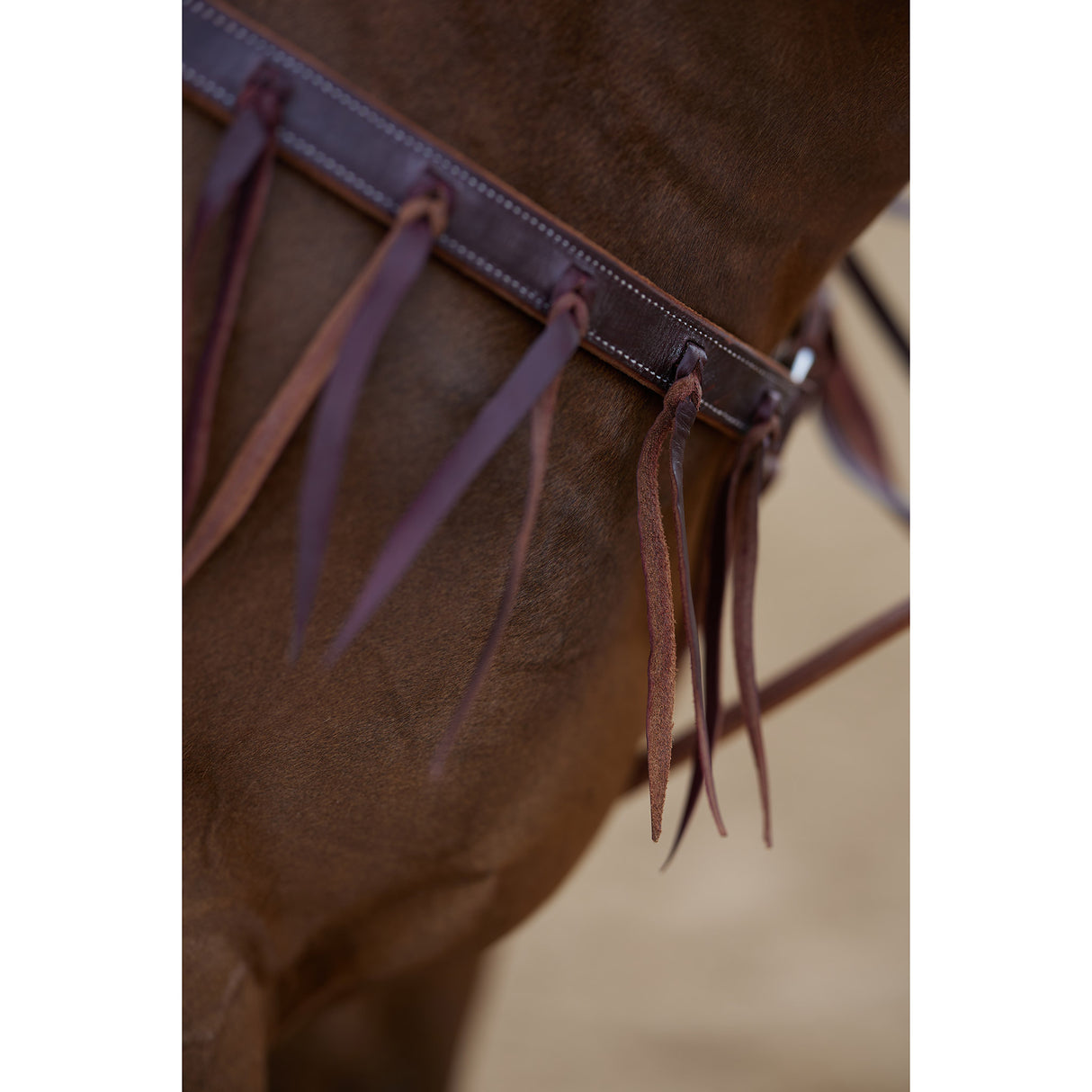 Cowboy Tack 1 1/4" Chocolate Harness Leather Breast Collar w/ Latigo Strings