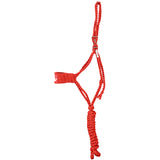 Best Ever Braided Mule Tape Halter w/ 8.5' Lead- Red