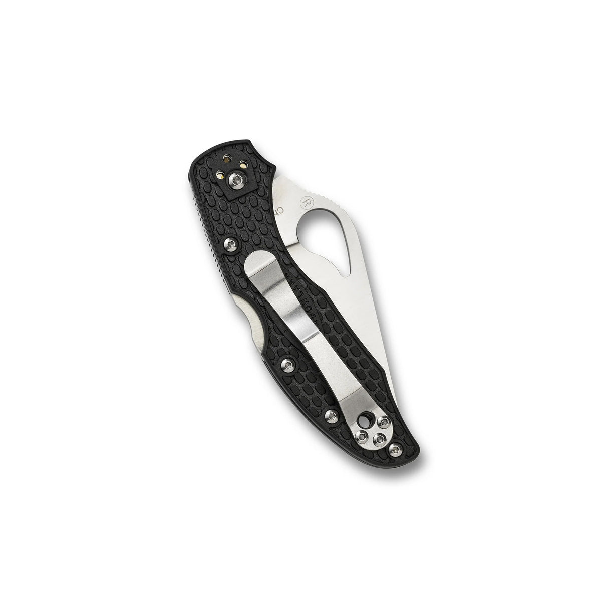 Spyderco Byrd Meadowlark 2 Lightweight Combination Edge Knife
