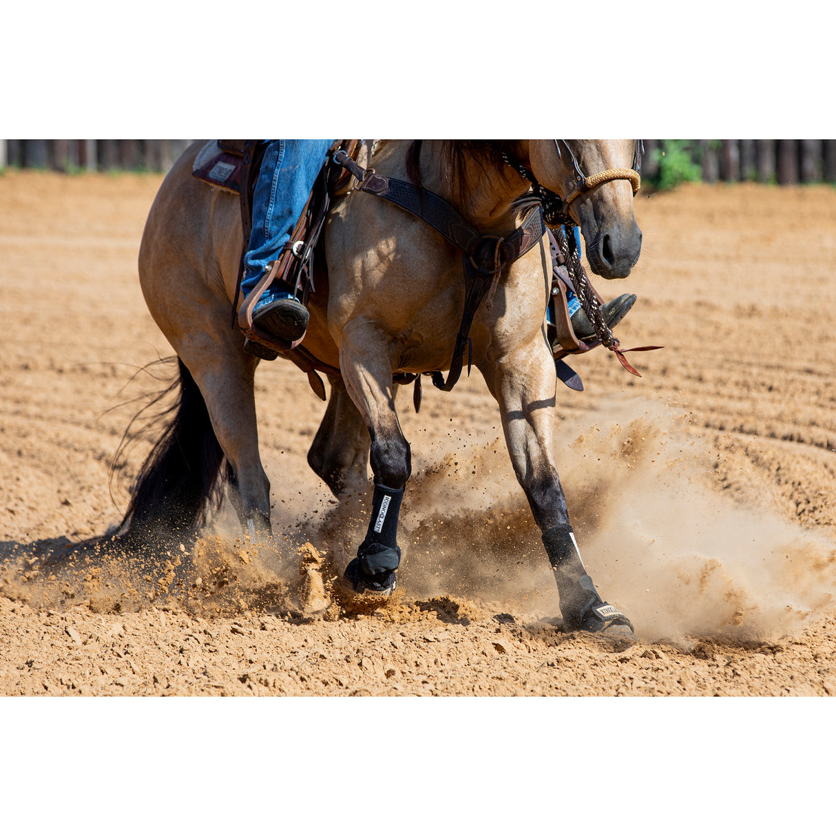 Iconoclast Complete Front, Hind and Bell Boot Combo Pack- Black