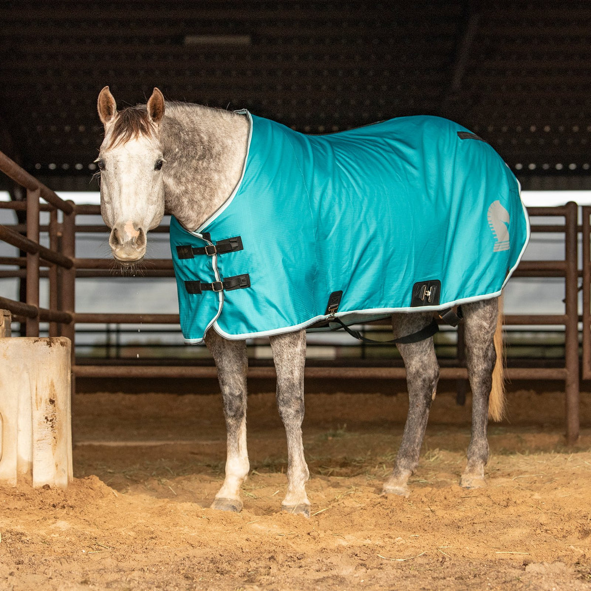 Classic Equine Open Front Nylon Stable Sheet- Baltic Green
