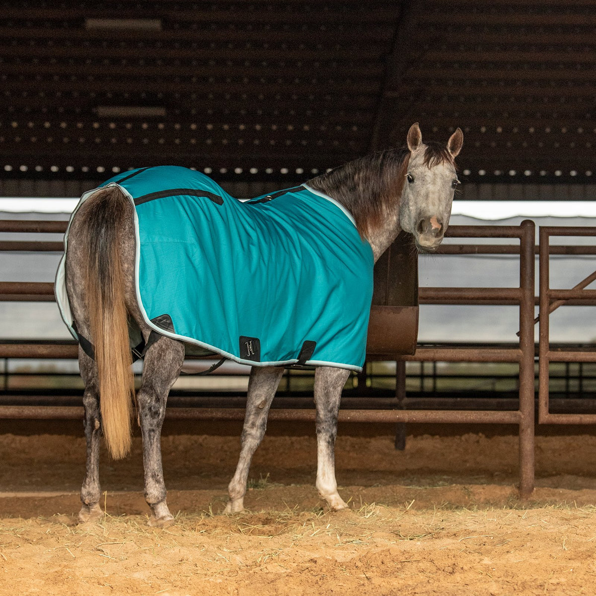 Classic Equine Open Front Nylon Stable Sheet- Baltic Green