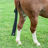 Classic Equine Lycra Tail Bag- Black