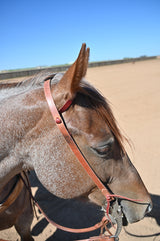 Coolhorse Leather 3/4" Slip Ear Working Cowboy Headstall