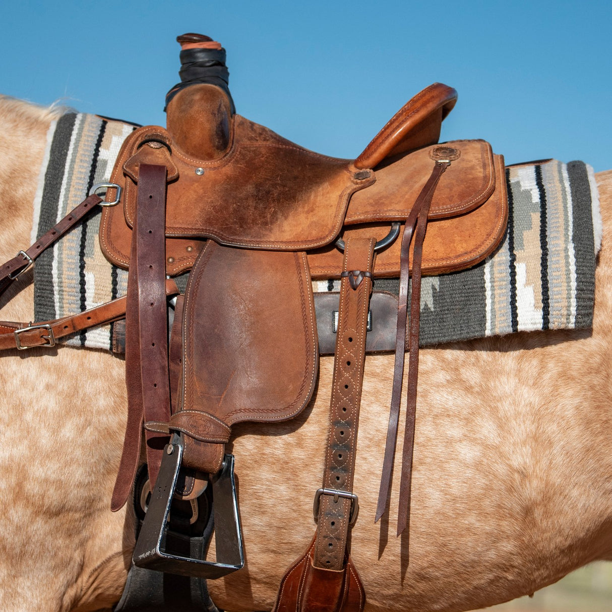 Cashel 3/4" Blanket Top Performance Fleece Saddle Pad- Steel/Tan