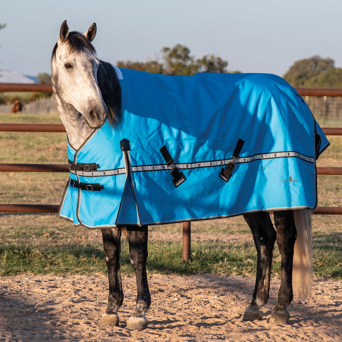 Classic Equine 10K Cross Trainer Turnout Blanket- Aloha Blue